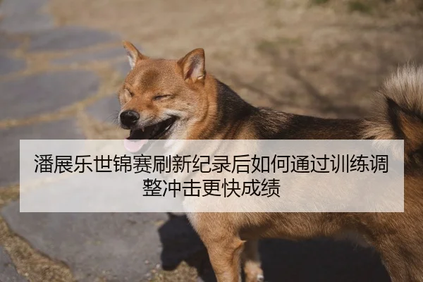 潘展乐世锦赛刷新纪录后如何通过训练调整冲击更快成绩